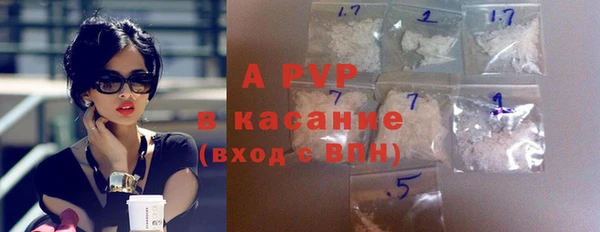 шишки Чекалин