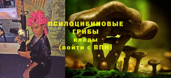 2c-b Коряжма