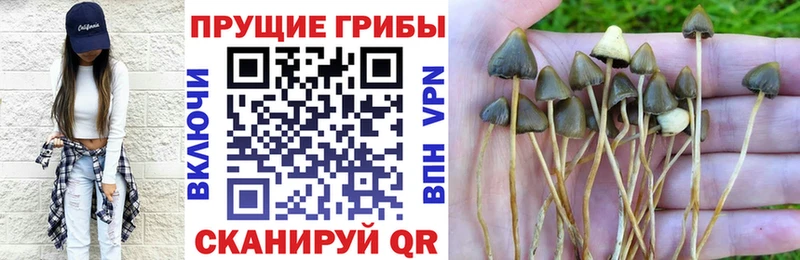 Купить закладки  Любим  Галлюциногенные грибы мицелий 